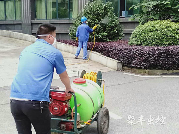 衛(wèi)建委滅蚊蠅消殺 衛(wèi)建委滅蚊蠅消殺